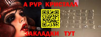 дмт Гай