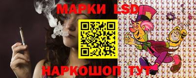 spice Гатчина