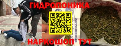 spice Гатчина