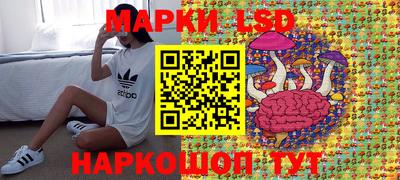 spice Гатчина