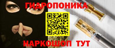 дмт Гай