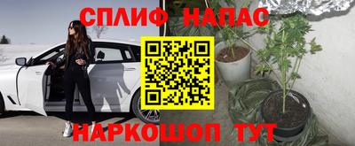 spice Гатчина