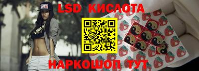 spice Гатчина