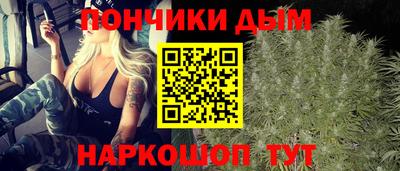 дмт Гай