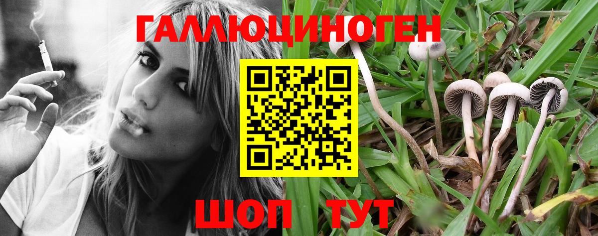 Галлюциногенные грибы Magic Shrooms  Вход с VPN  Казань 