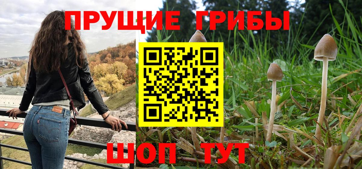 Галлюциногенные грибы MAGIC MUSHROOMS Казань